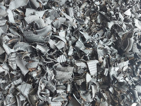 Toy car exploring offroad.